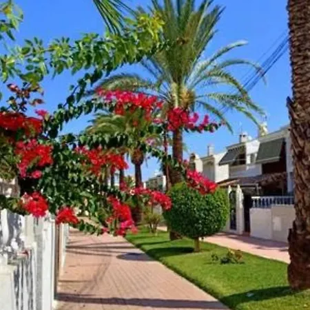 Casa Makis 格兰阿利坎特